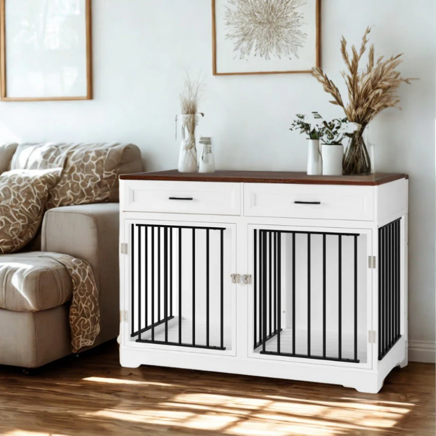 Elevate Your Pet's Everyday Style